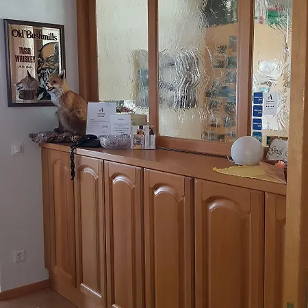 公寓式酒店 Apart-garni Motnaida 3*