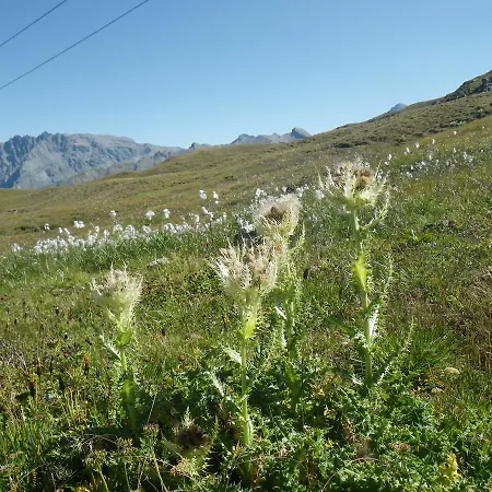 Apart-garni Motnaida 3* Samnaun