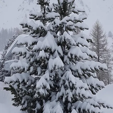 מלון דירות Apart-garni Motnaida 3*