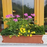Apart-garni Motnaida Hotel apartamentowy