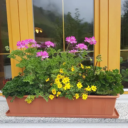 Apart-garni Motnaida Aparthotel