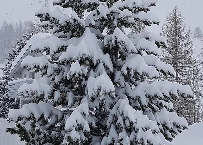 Apart Otel Apart-garni Motnaida 3*