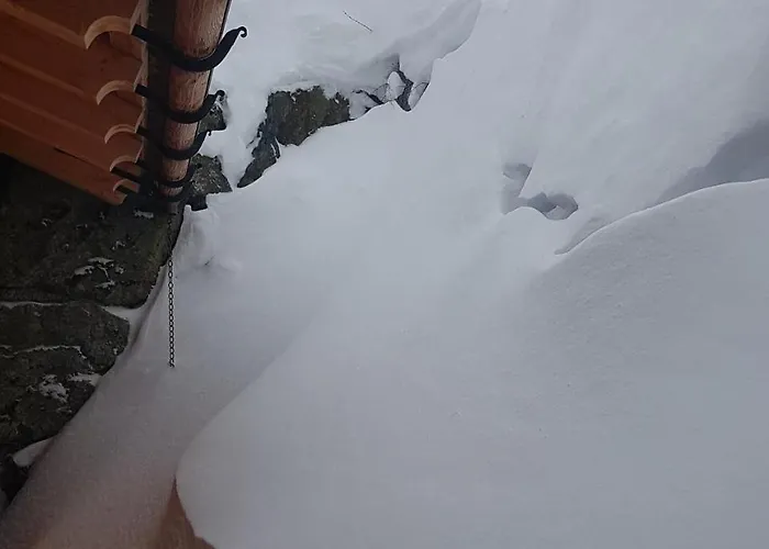 Apart-garni Motnaida 3* Samnaun